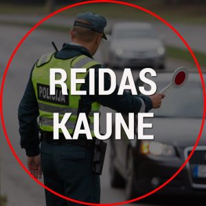 Reidas Kaune | Trikojis Kaune