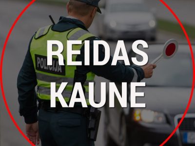 Reidas Kaune | Trikojis Kaune